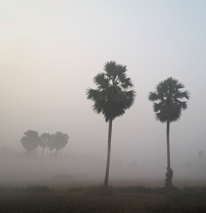 Winter in Bengal